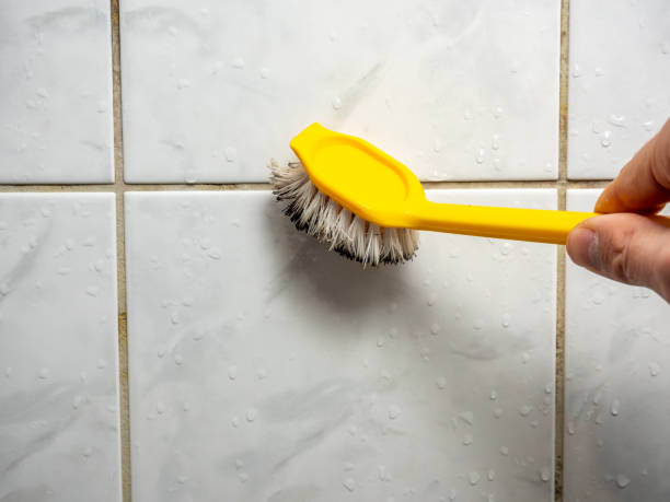 Best Residential Mold Remediation in Lake Summerset, IL
